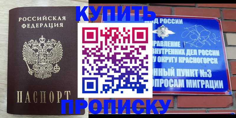 прописка гарантия в Ржеве